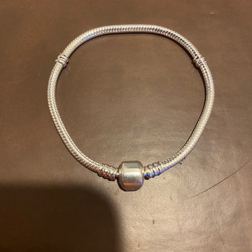 Snake charm Charm Bracelet